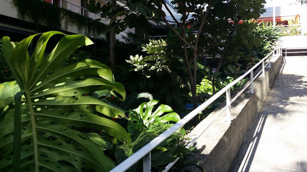 La Nogalera Apartment Torremolinos Phòng bức ảnh